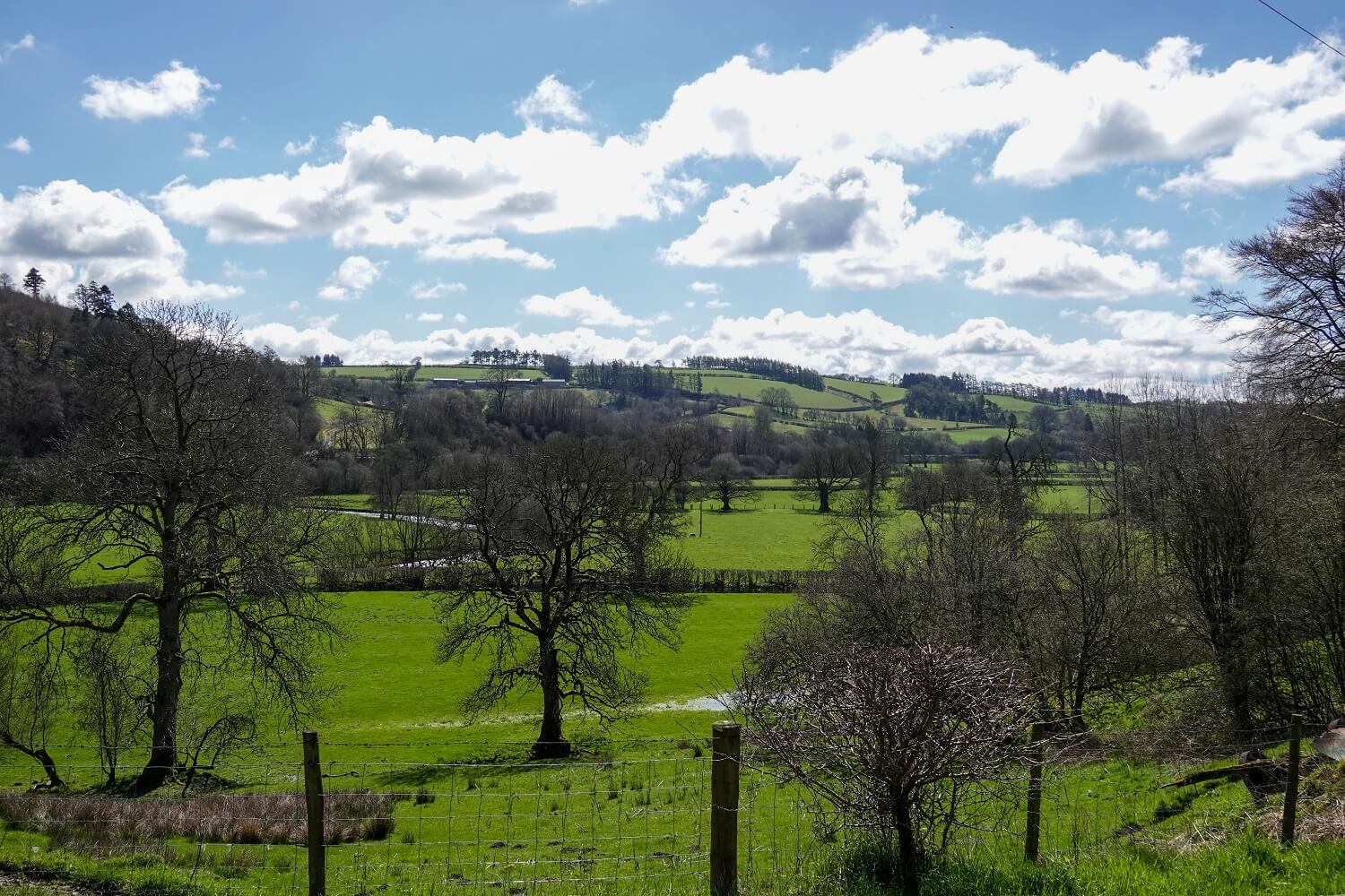 Ben Capp's view from the studio: green fields, blue skies dappled with clouds and a few leafless trees